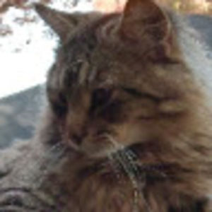 Meet your Posher, Marina